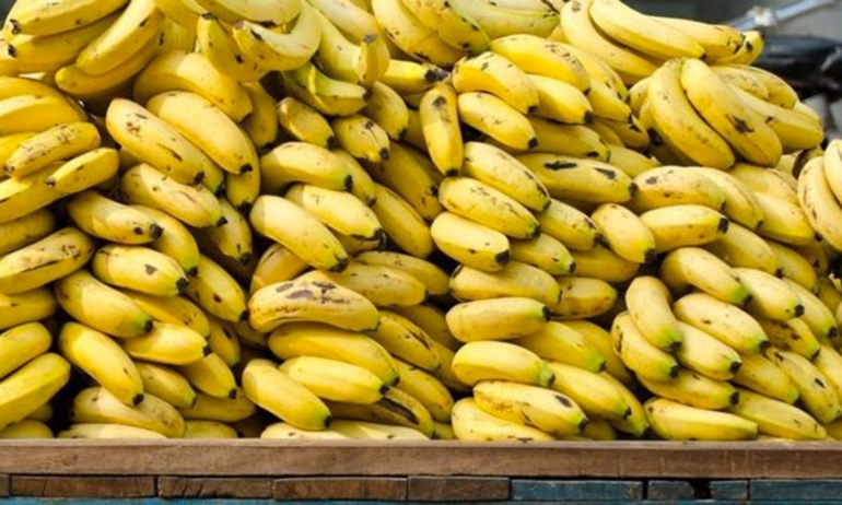 توزر: حجز قرابة 328 كغ من الموز