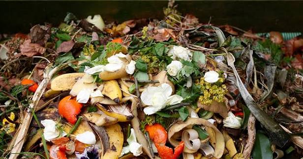 "هدر الطعام يسهم ب 10 بالمائة من انبعاثات الغازات الدفيئة في العالم"