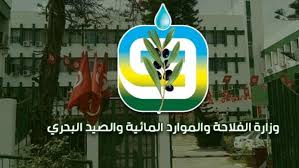 وزارة الفلاحة توضّح إجراءات تطبيق الفصل 58 من قانون المالية 2026 المتعلّق بإعفاء وجدولة ديون متسوغي العقارات الدولية الفلاحية