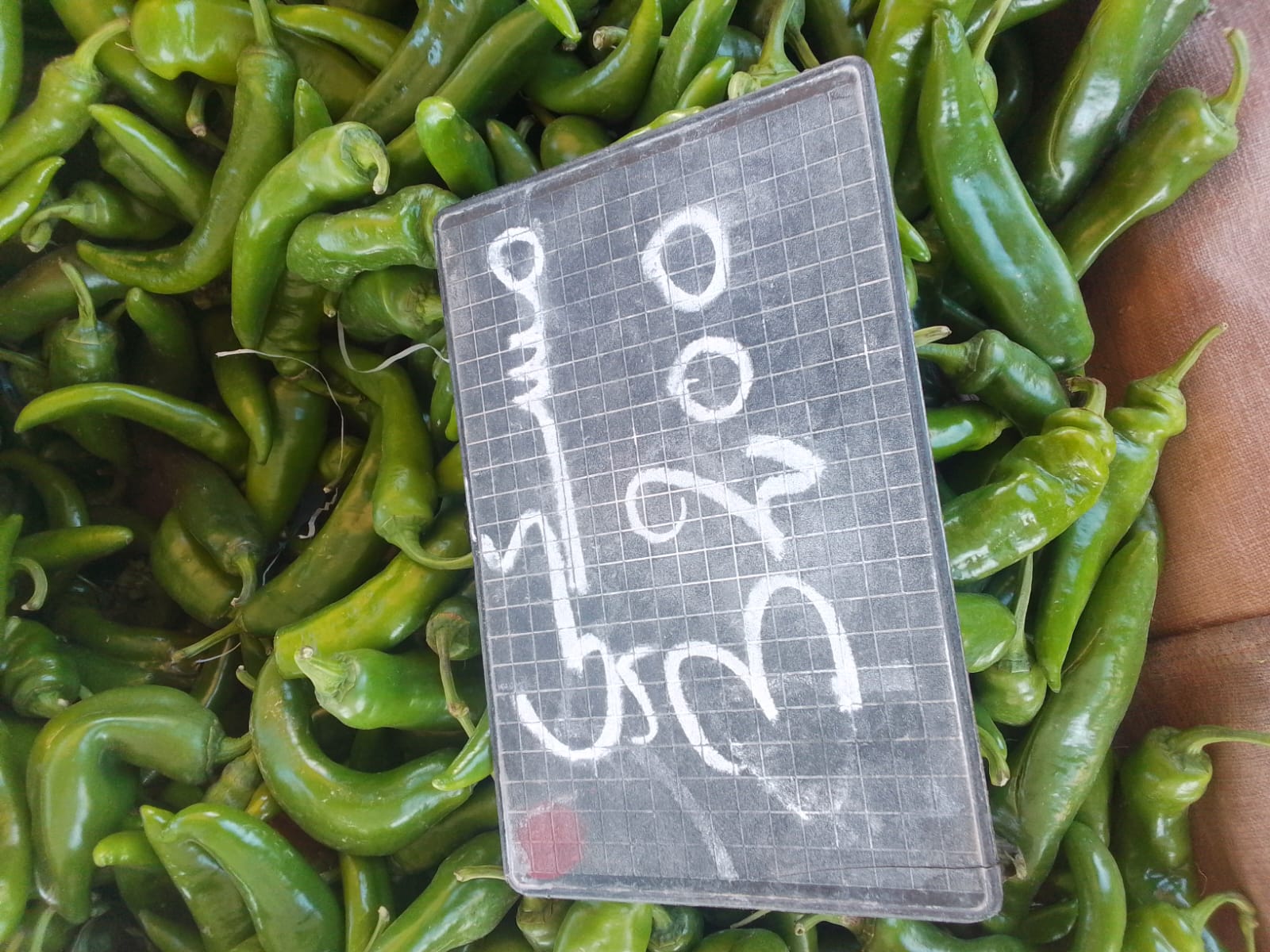 أسعار الخضر والغلال بالسوق الأسبوعية والسوق البلدي في سليانة