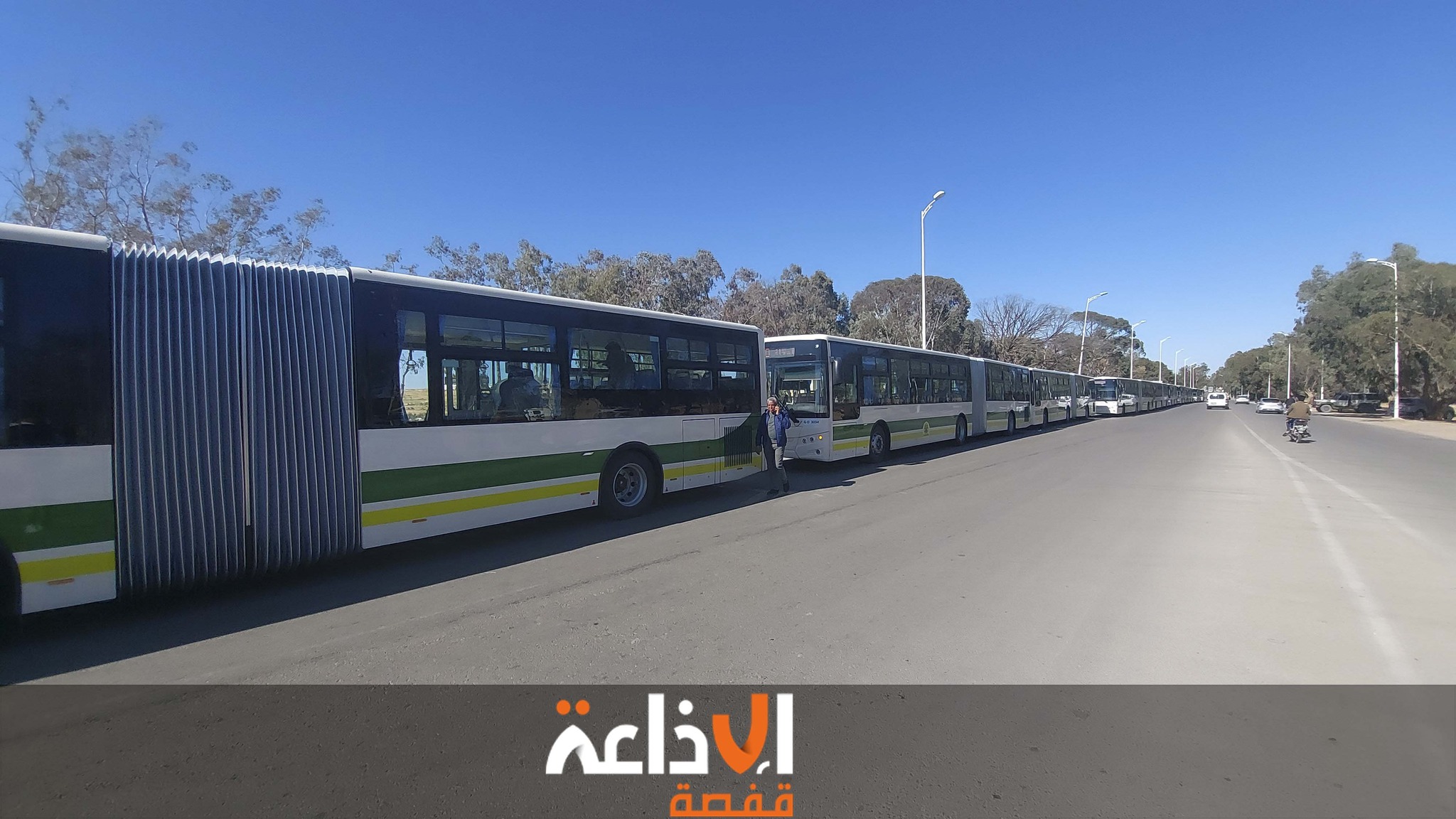 قفصة: الشركة الجهوية للنقل "القوافل" تُعزّز أسطولها بـ25 حافلة جديدة مزدوجة