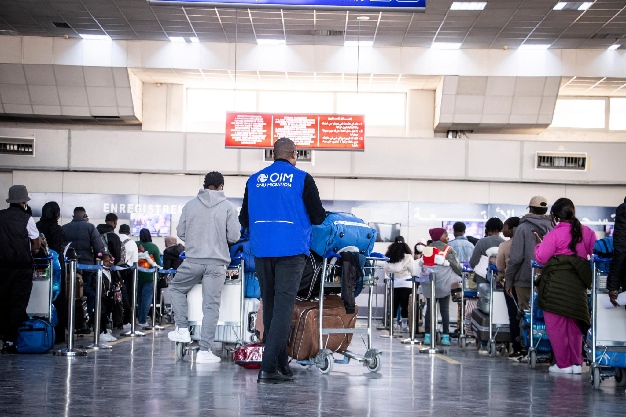 المنظمة الدولية للهجرة تؤمن العودة الطوعية الى البلد الأصلي لـ 309 مهاجرا من تونس نحو غينيا وكوت ديفوار