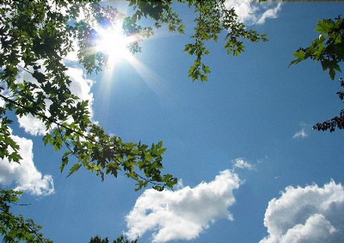 اليوم: ضباب كثيف صباحا والحرارة بين 17 و26 درجة