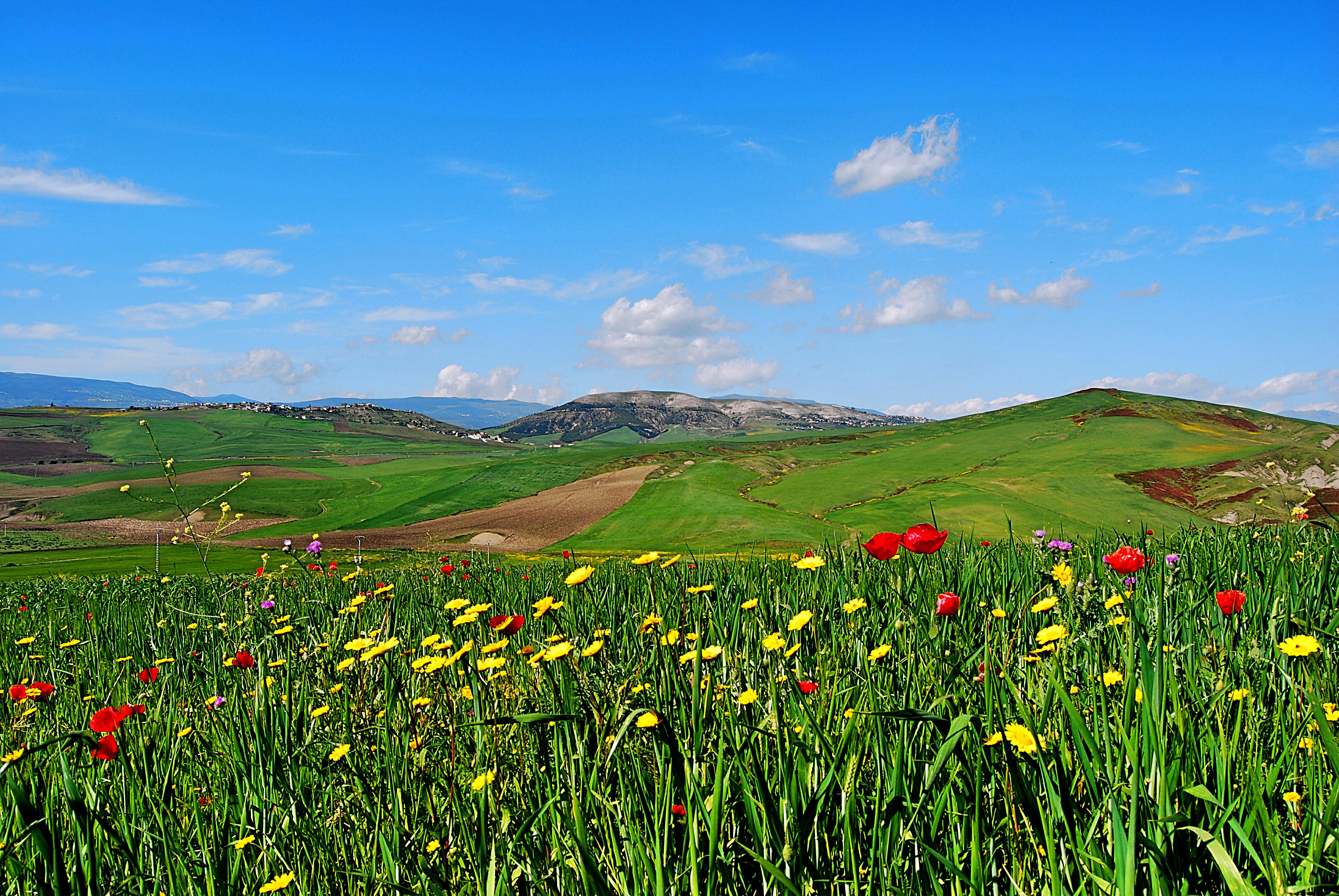 نزول جمرة الماء اليوم وغدا دخول الربيع