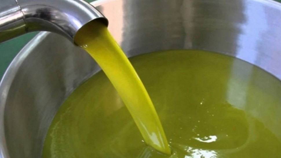 صادرات زيت الزيتون التونسي تتجاوز 1620 مليون دينار بترويج 130.9 ألف طن إلى أواخر جانفي