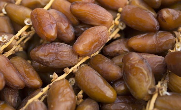 تمور: ارتفاع عائدات التصدير بنسبة 4،4 المائة خلال الأشهر الأربعة الأولى من موسم 2026/2025