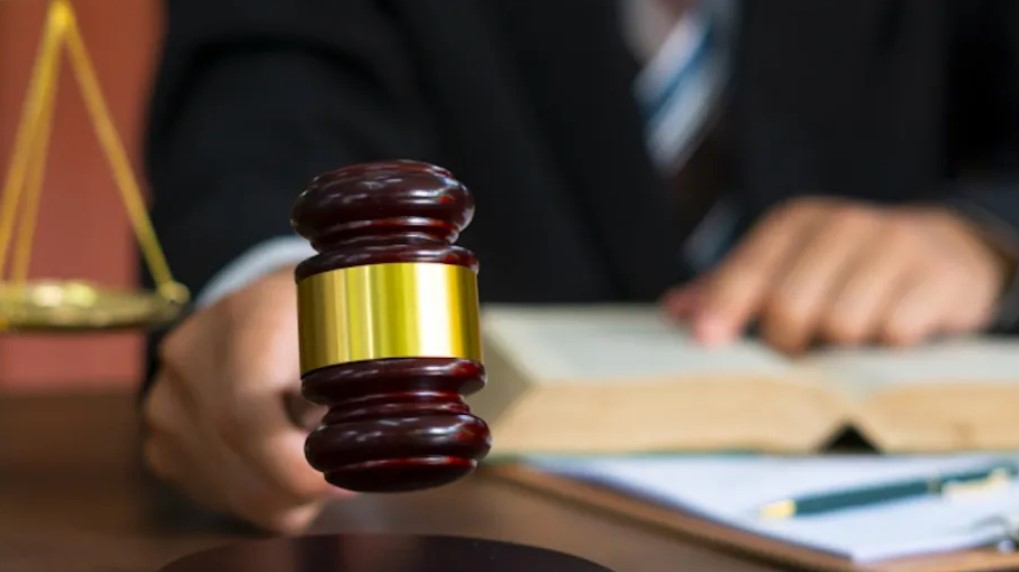 مصدر قضائي: أحكام بالسجن ومصادرة أملاك وخطايا في حق الأخوين نبيل وغازي القروي  