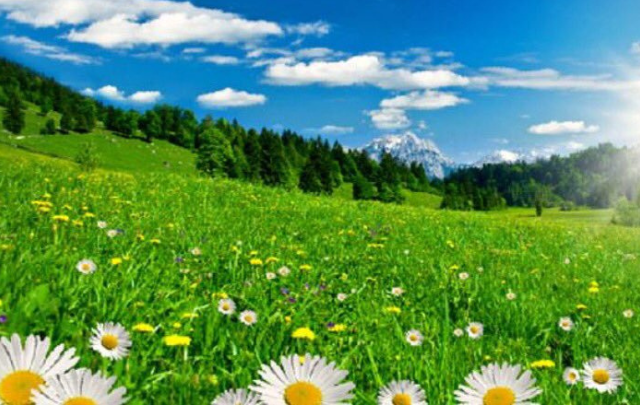 اليوم: دخول فصل الربيع