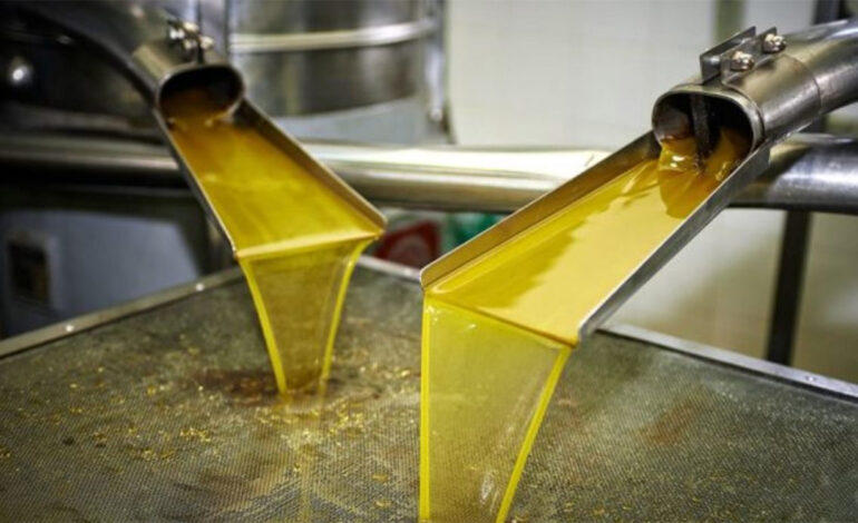 Huile d’olive : des exportations tunisiennes en hausse record