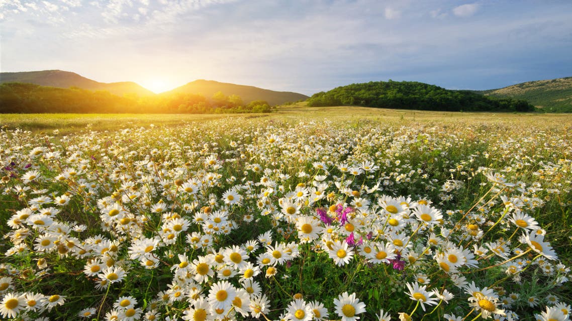 طقس اليوم: ضباب محليا كثيف في الصباح والحرارة بين 17 و26 درجة