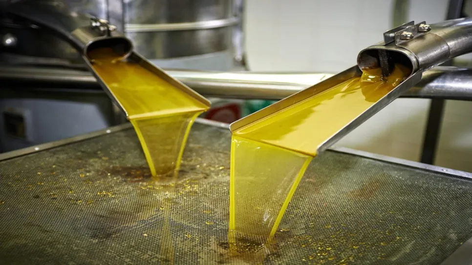 بنزرت: رأس الجبل تطلق رسميا منظومة "فالوزيت" لتثمين الزيوت الغذائية المستعملة