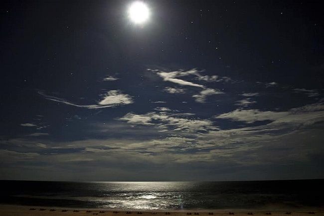 سحب قليلة بأغلب المناطق مع إمكانية ظهور ضباب محلي آخر الليل