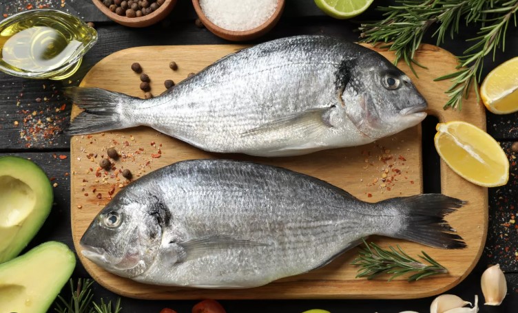 نائب رئيس اتحاد الفلاحة: أسعار خيالية للأسماك في الأسواق رغم اعتماد البحارة لأسعار غير مُشطة