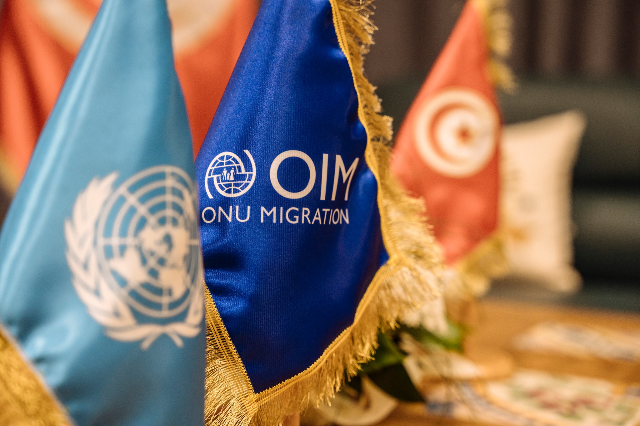 المنظمة الدولية للهجرة بتونس ترافق 1760 مهاجرا عائدا الى بلده الأصلي لبدء حياة جديدة