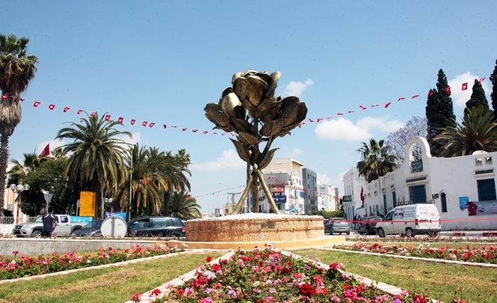 أريانة: ضبط برنامج جهوي استباقي مشترك لمقاومة الحشرات