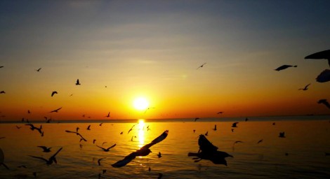 الليلة...سماء مغيمة جزئيا بأغلب المناطق