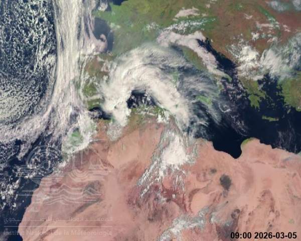 كل ولايات البلاد في مستوى اليقظة "الاصفر" بسبب توقع ظهور تقلبات مناخية 