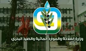 وزارة الفلاحة تقترح احداث منصة إلكترونية لتسوية الآبار العشوائية وتؤكد الانطلاق في عمليات التسوية سنة 2026