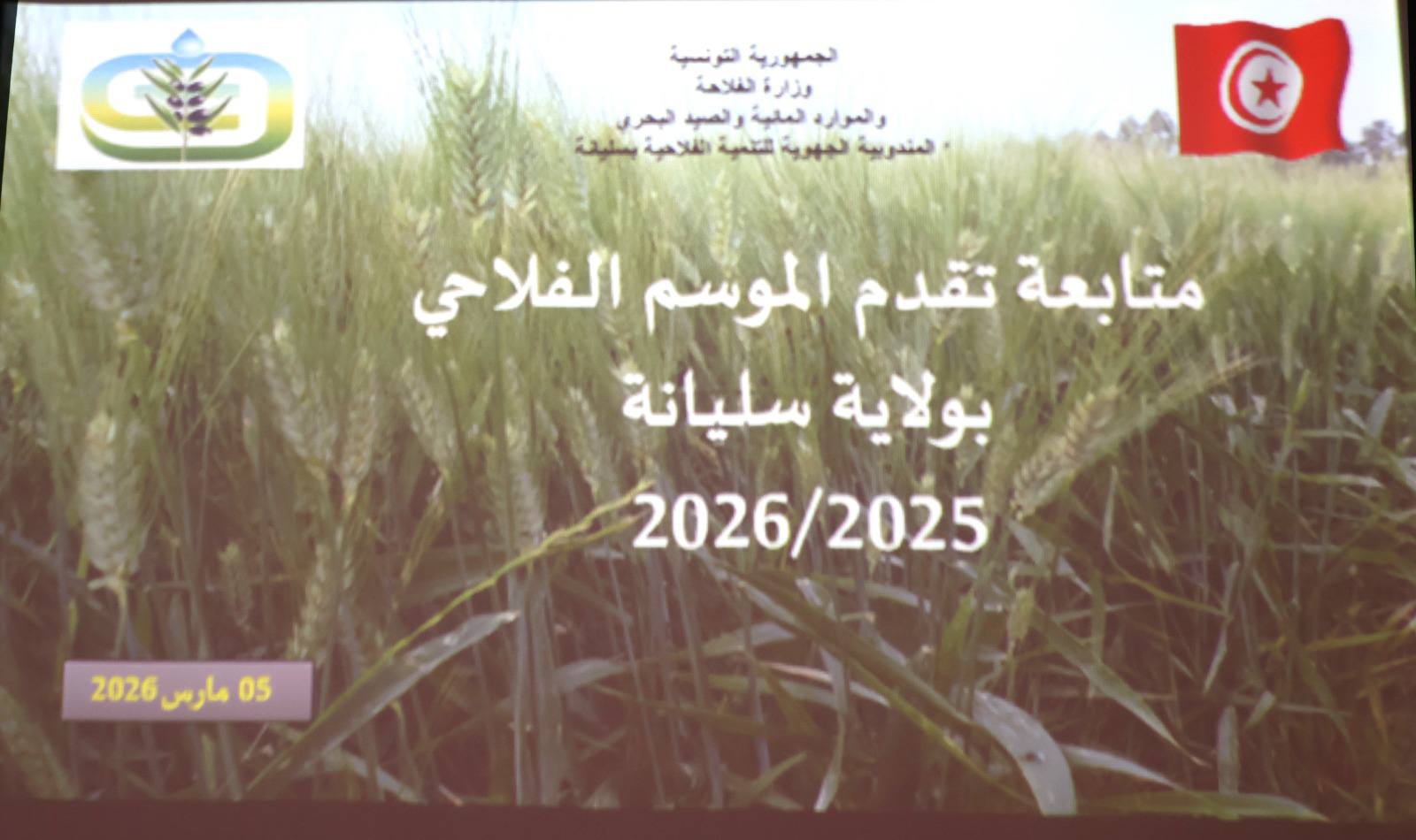 سليانة: متابعة موسم الزراعات الكبرى وسط نقص في التزود بمادة الامونيتر