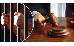 استئناف تونس : أحكام تتراوح بين 8 و9سنوات سجنا ضد عدد من رجال الأعمال في قضية تتعلق ببيع مبيدات فلاحية منتهية الصلوحية