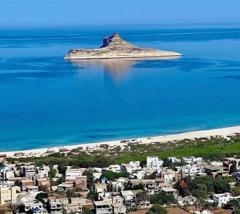  ضباب محليا كثيف في الصباح  مع بعض الأمطار المتفرقة