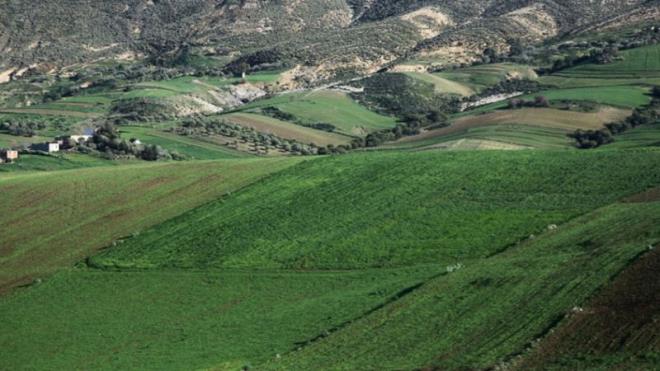 العقار الدولي في تونس: رافعة جديدة للتنمية والاستثمار في برنامج 2026