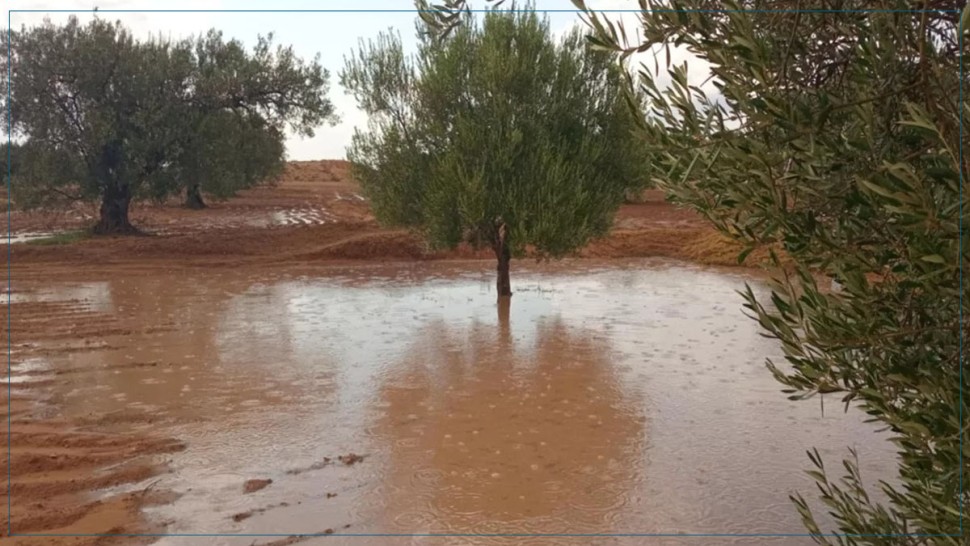 كميات الأمطار المُسجلة خلال الـ24 ساعة الماضية