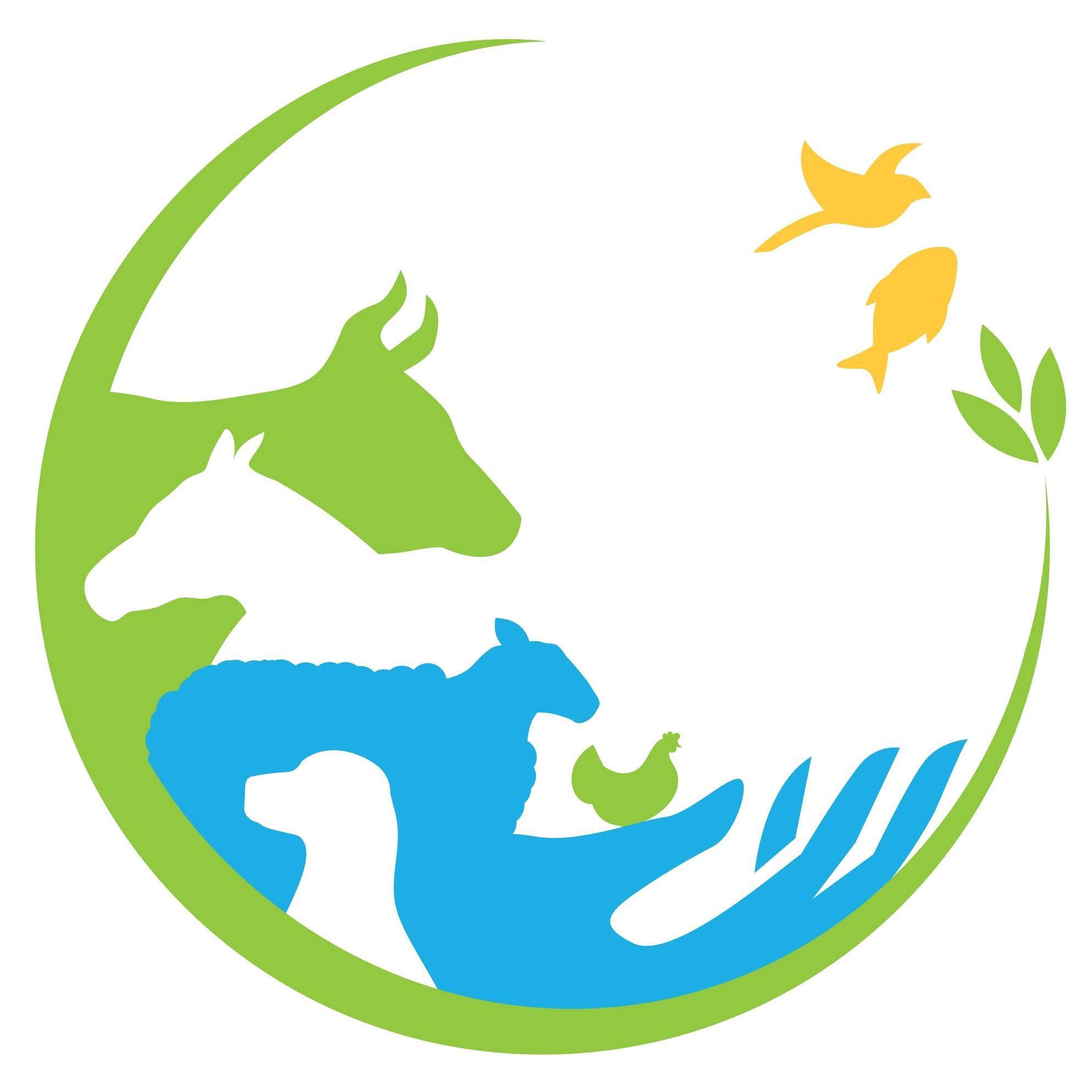 الادارة العامة للمصالح البيطرية تشدد على اليقظة الصحية وتكثيف التلقيح لحماية القطيع الوطني