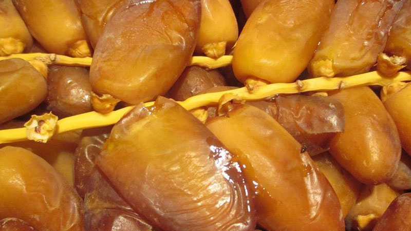 التمور التونسية تحقق ارقاما قياسية: 404 ألف طن إنتاجا و650 مليون دينار عائدات تصديرية.