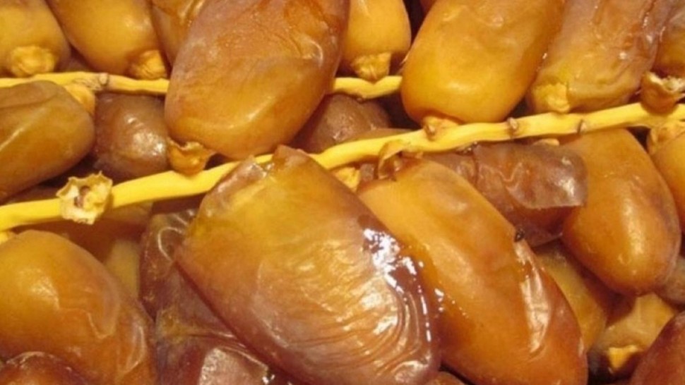 التمور التونسية تحقق ارقاما قياسية : 404 ألف طن إنتاجا و650 مليون دينار عائدات تصديرية 