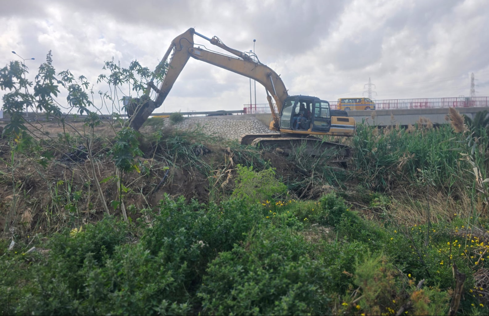 المدخل الشمالي للمنستير: التدخّل بالآليات الثقيلة لتنظيف مجرى الوادي من الشجيرات والأعشاب والمخلّفات المتراكمة