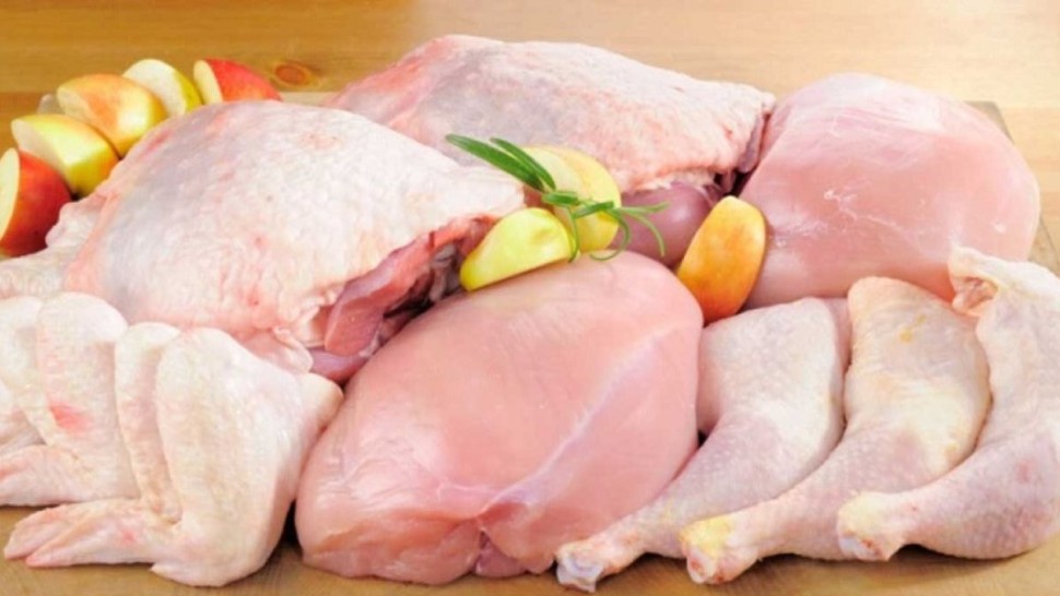 رئيس غرفة الدواجن: أزمة القطاع مُتواصلة رغم تراجع أسعار الأعلاف 14 مرّة وسنتوجّه إلى مجلس المُنافسة