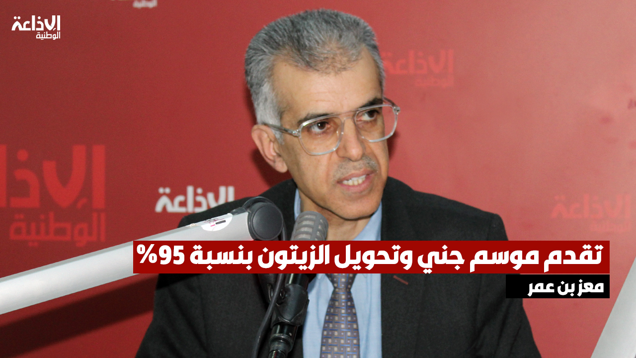 رئيس مديرعام  ديوان الزيت معز بن عمر: تقدم موسم جني وتحويل الزيتون بنسبة 95 % 