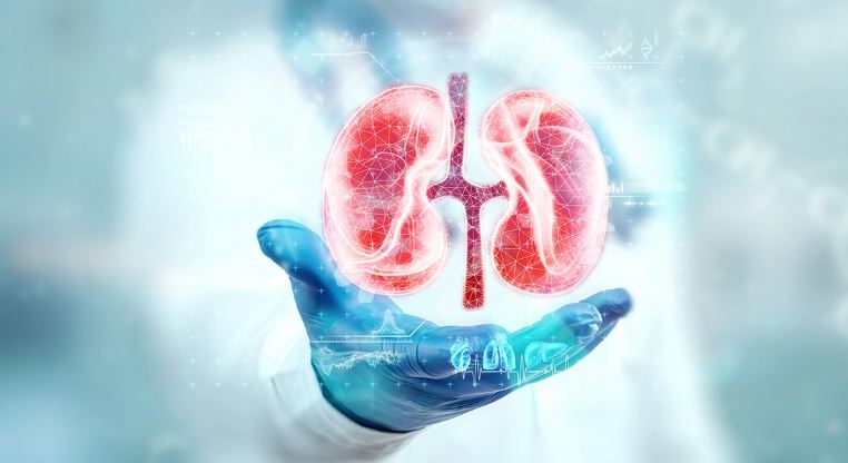 مركز النهوض بزرع الأعضاء: أكثر من 1500 مريض في تونس ينتظرون دورهم لزرع الكلى