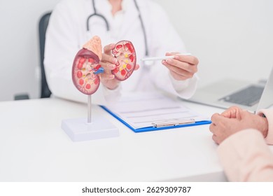 Journée mondiale du rein : les spécialistes appellent à la prévention