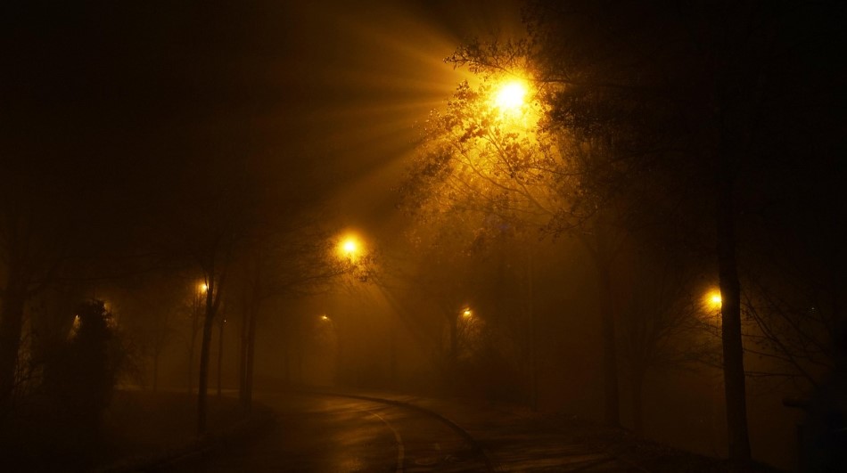 ضباب محليا كثيف الليلة وصباح غد الجمعة يتسبب في انخفاض مدى الرؤية الأفقية