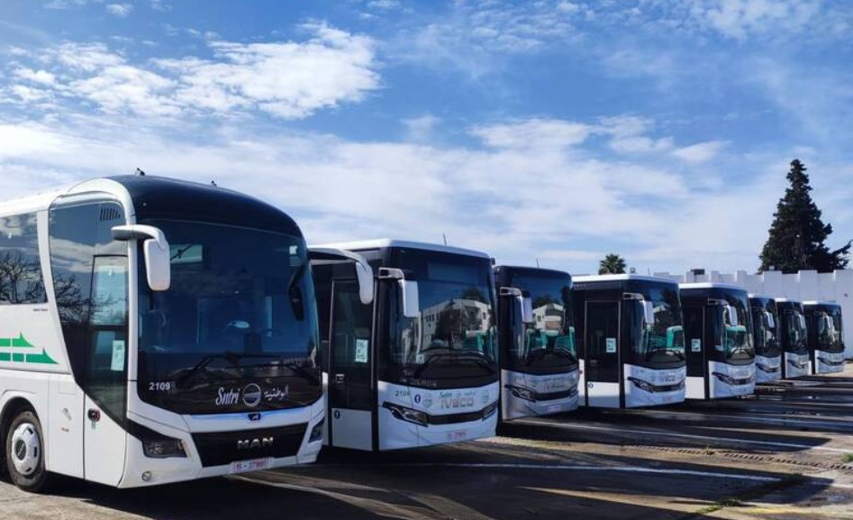 الشركة الوطنية للنقل بين المدن : دخول 48 حافلة جديدة حيز الاستغلال