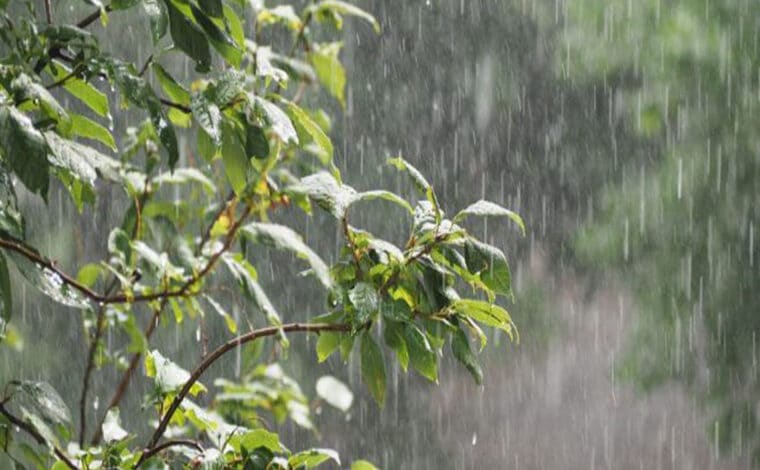 Météo : pluies éparses attendues sur le nord et le centre