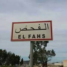 مدينة الفحص، تحتضن المخيم الوطني لمؤسسات الشباب الثالث