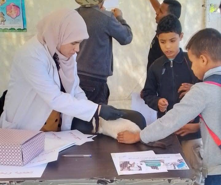 قفصة: تواصل الحملة الوطنية المجانية لتلقيح المجترات الصغرى والقطط والكلاب