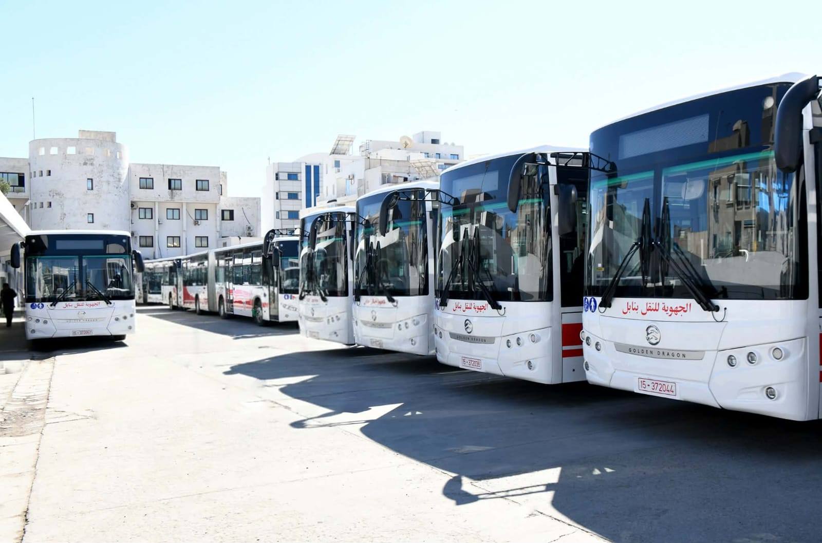 بداية من يوم غد : إرجاع تواتر السفرات على خطي نابل حمام الأنف تونس والحمامات حمام الأنف تونس