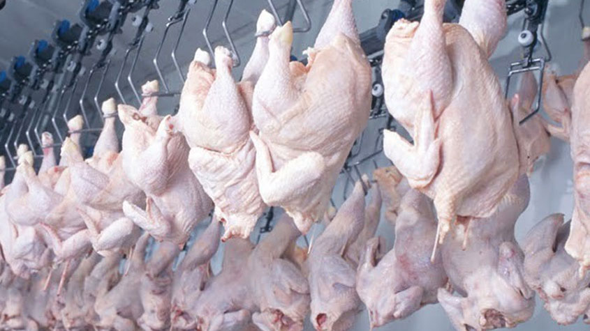 رئيس الغرفة الوطنية لتجار الدواجن واللحوم البيضاء : الاقبال على لحم الدجاج في رمضان كان قياسيا  والحل يكون بترفيع الانتاج وتشديد الرقابة على المخالفين 