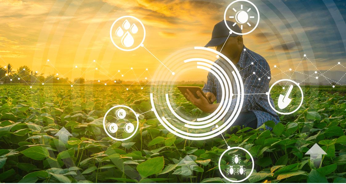 ورشة عمل دولية حول الزراعة الذكية والمستدامة في ظل تغير المشهد البيئي والاقتصادي