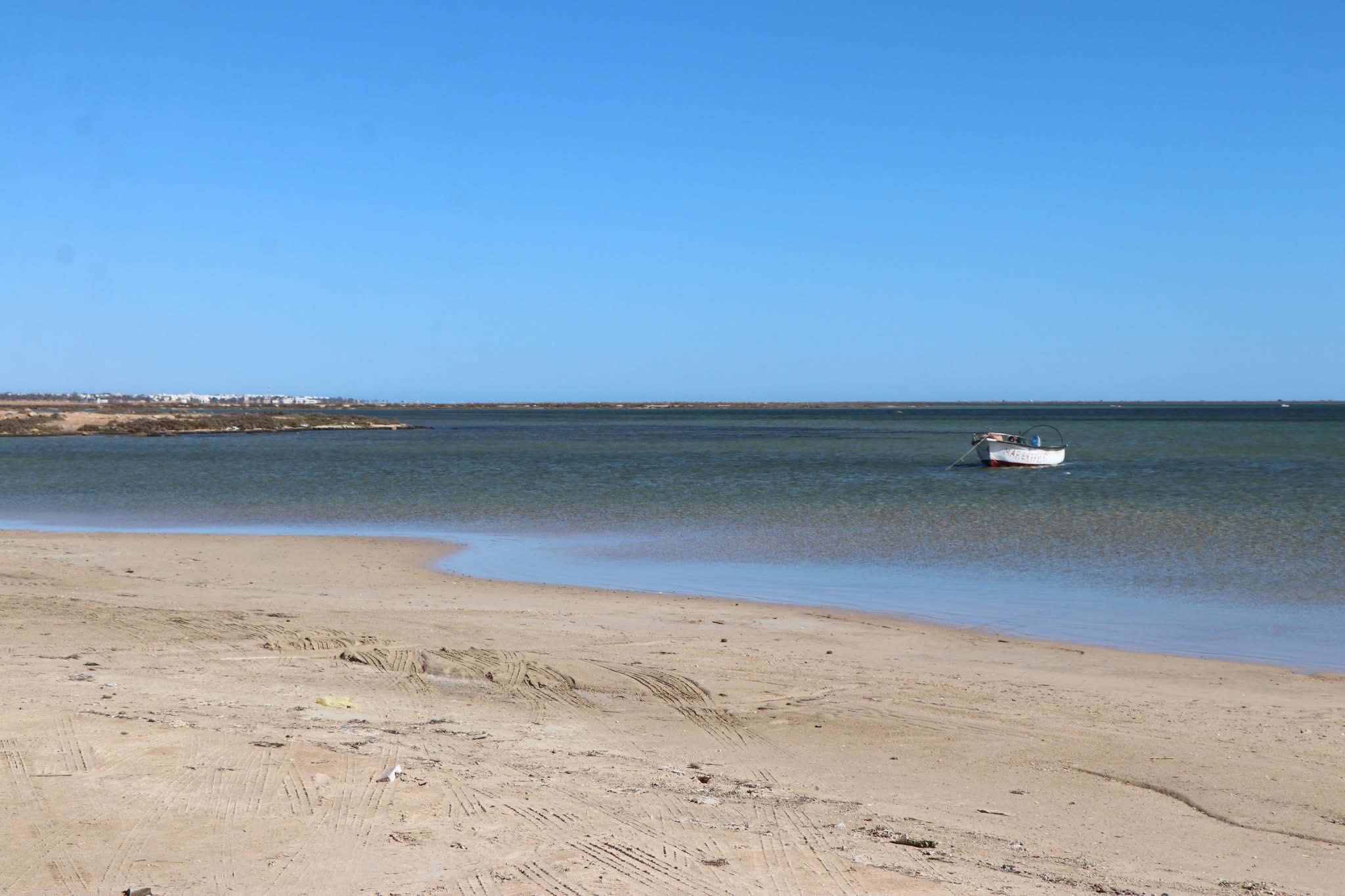 تقديم آليات الانخراط في مبادرة حماية وصيانة الشريط الساحلي