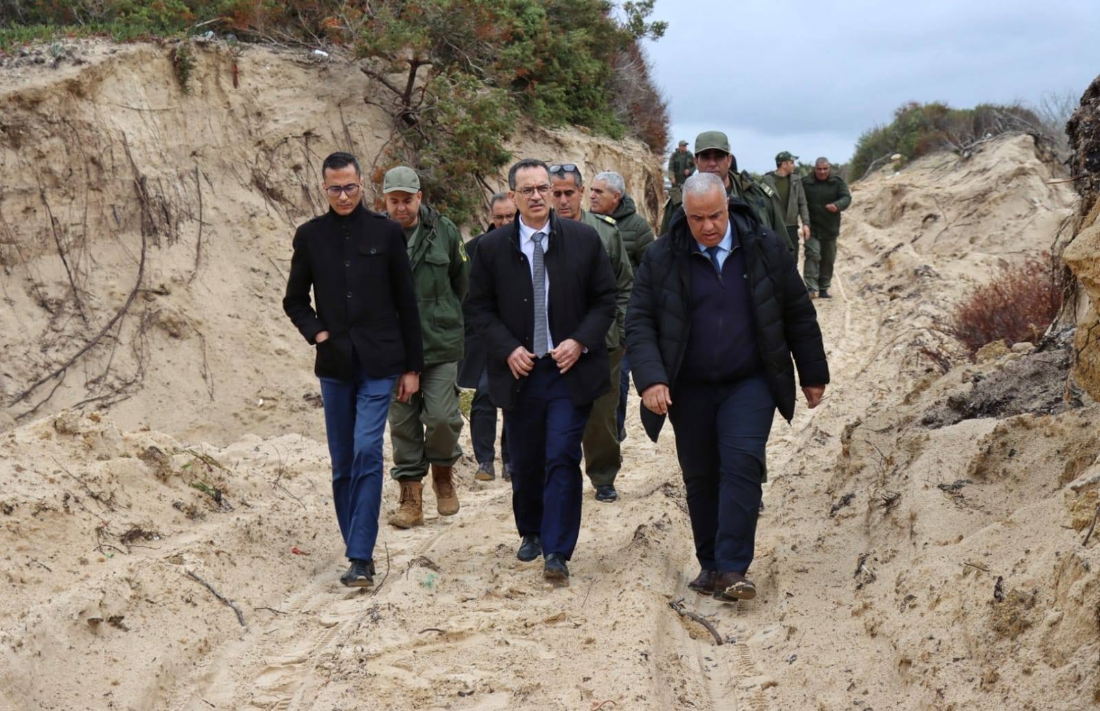 نابل: وزير الفلاحة يتابع المشاريع الغابية وتعزيز جهود التشجير