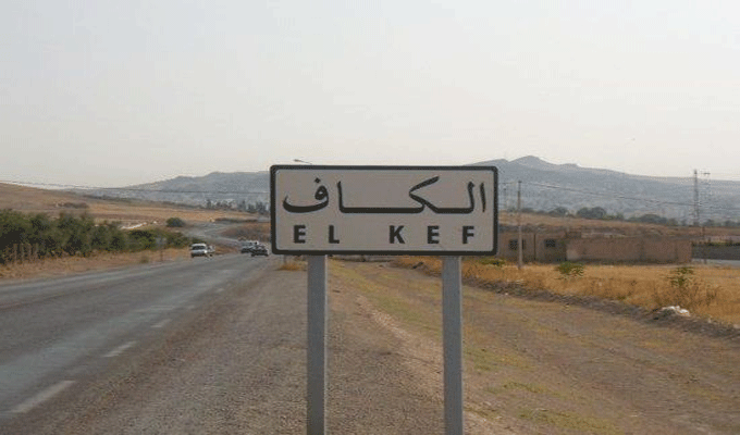 الكاف:13 أسرة تستفيد من مشاريع في اطاربرنامج التمكين الاقتصادي للاسر ذات الوضعيات الخاصة .