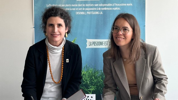 إطلاق مشروع "بينيلوب" لحماية مروج أعشاب البوسيدونيا البحرية في تونس