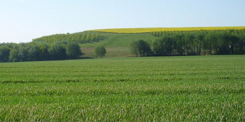 بنزرت: تخصيص 91 هكتارا من الأراضي الدولية المسترجعة للفلاحين الشبان والمهنيين وحاملي الشهادات العليا
