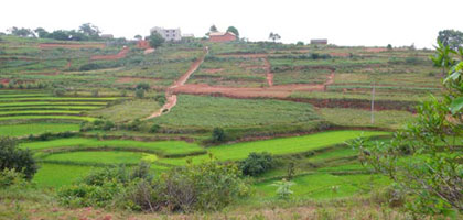 بنزرت: تخصيص 91 هكتارا من الأراضي الدولية المسترجعة للفلاحين الشبان والمهنيين وحاملي الشهادات العليا