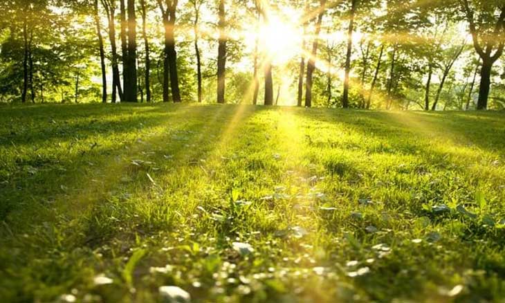 اليوم: الحرارة بين 10 و26 درجة